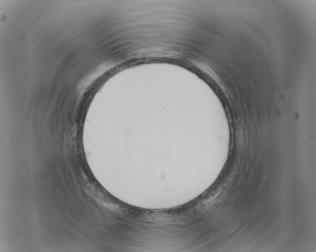 X0000068730971200605262021