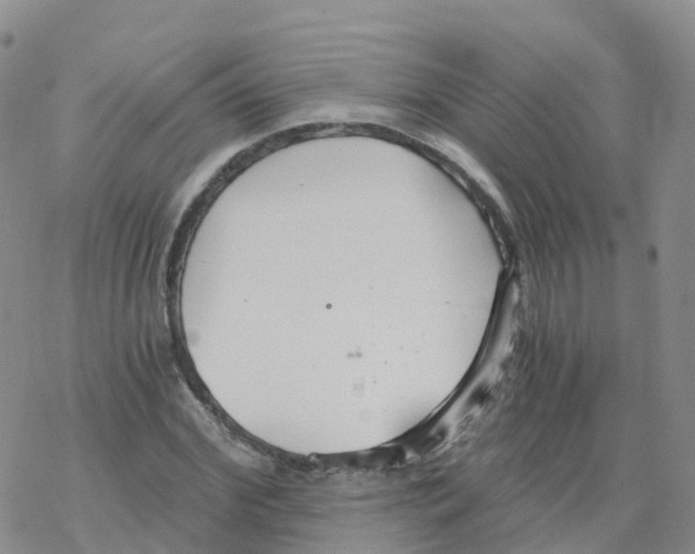 X0000068730972200605262021