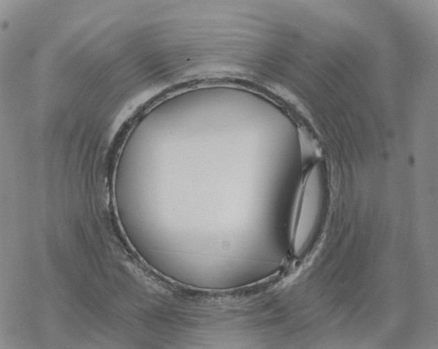 X0000068730973200605262021