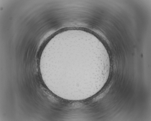 X0000068730974200605262021