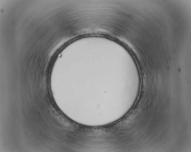 X0000068730975200605262021