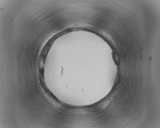 X0000068730976200605262021