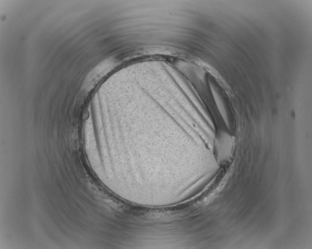 X0000068730977200605262021