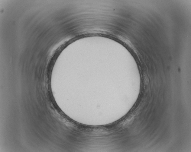 X0000068730979200605262021