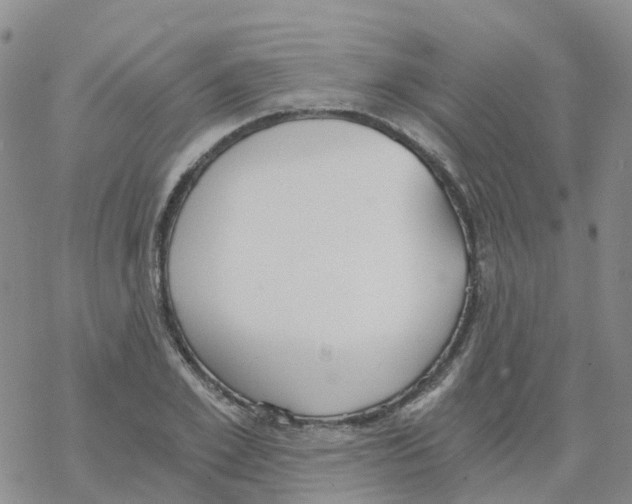 X0000068730981200605262021