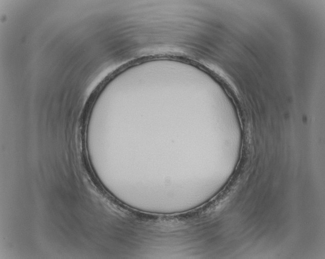 X0000068730983200605262021