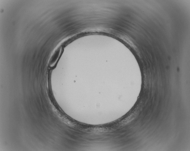 X0000068730984200605262021