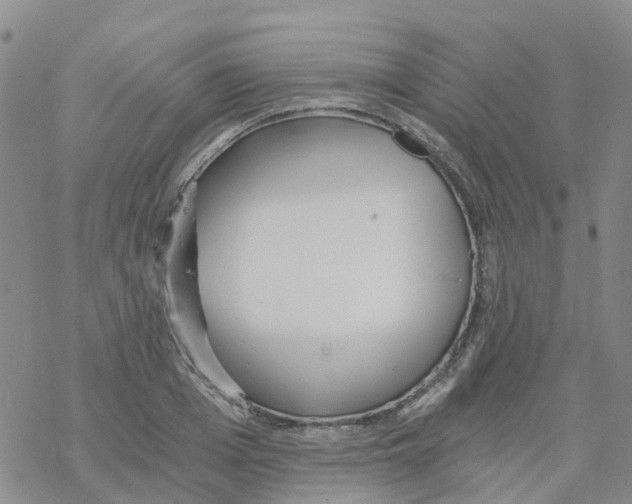 X0000068730985200605262021