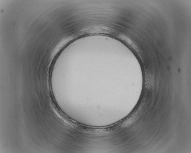 X0000068730986200605262021