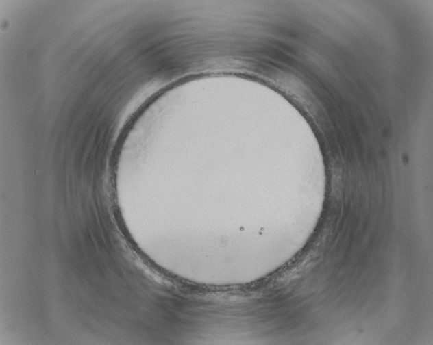 X0000068730990200605262021