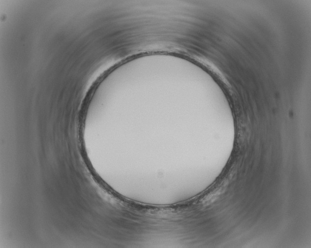 X0000068730991200605262021