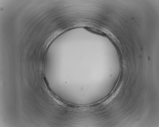 X0000068730993200605262021