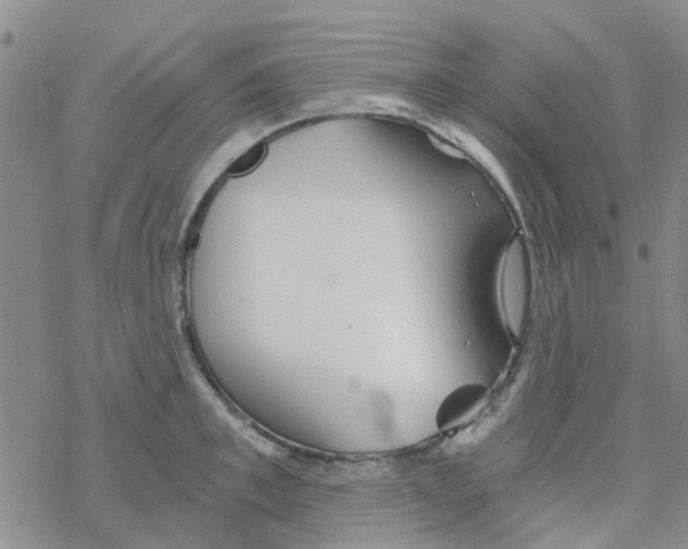 X0000068730997200605262021