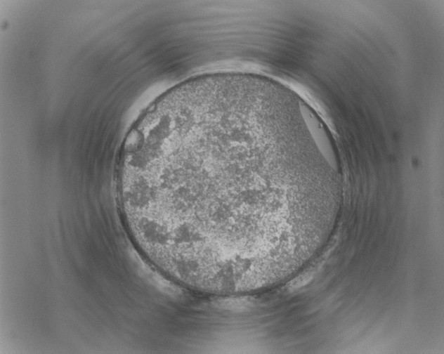 X0000068730998200605262021