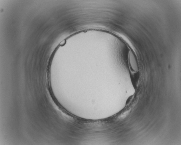 X0000068730999200605262021