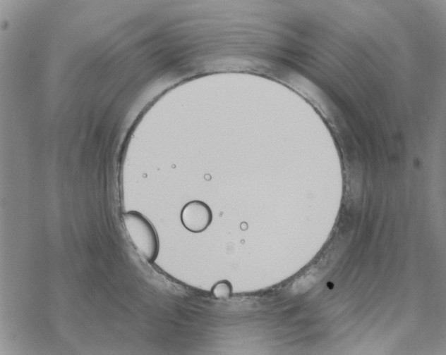 X0000068731000200605262021