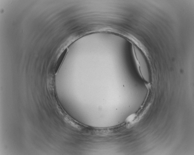 X0000068731001200605262021