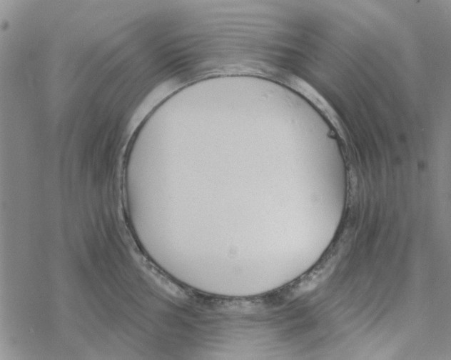 X0000068731002200605262021