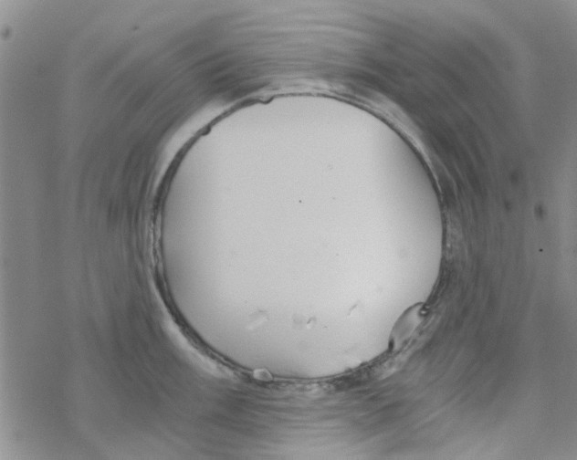 X0000068731003200605262021