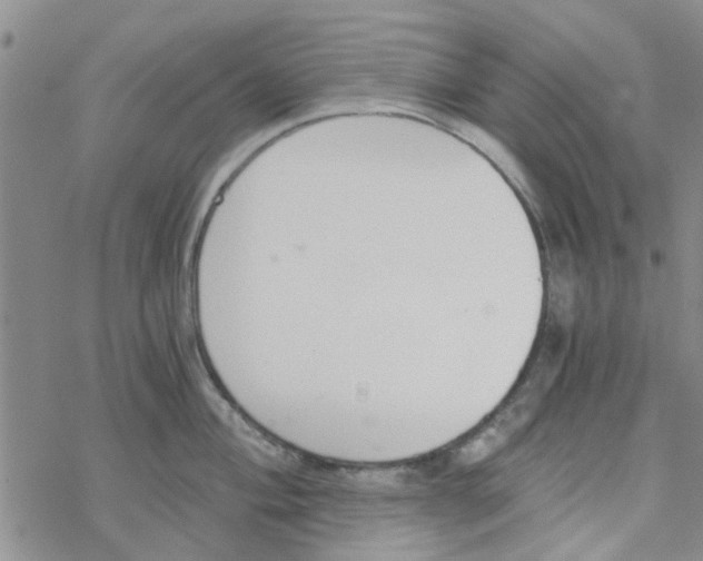 X0000068731004200605262021