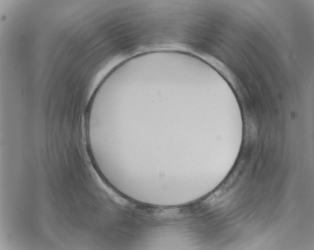 X0000068731006200605262021