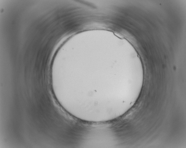 X0000068731008200605262021