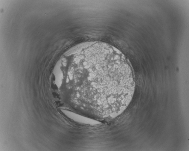 X0000068731009200605262020