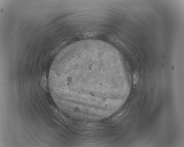 X0000068731011200605262020