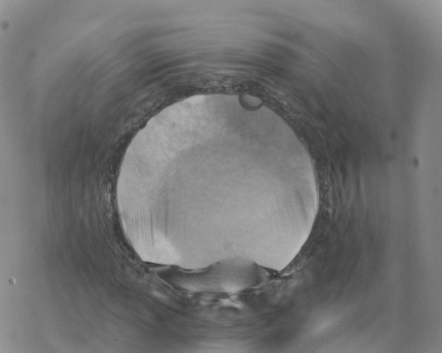 X0000068731013200605262020