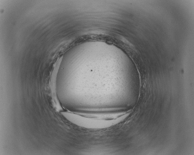 X0000068731014200605262020