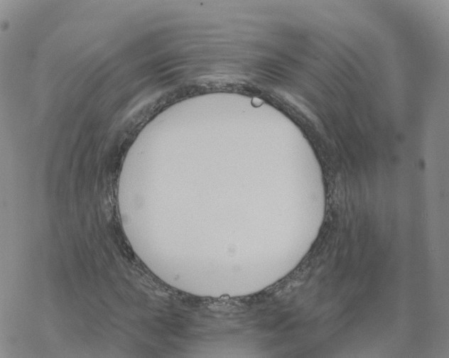 X0000068731015200605262020