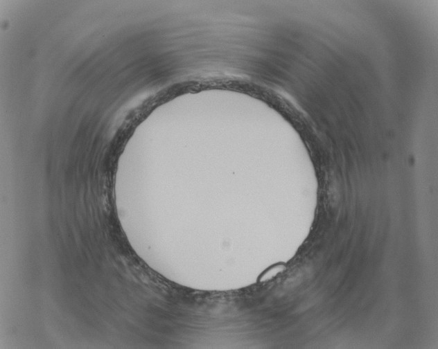 X0000068731016200605262020