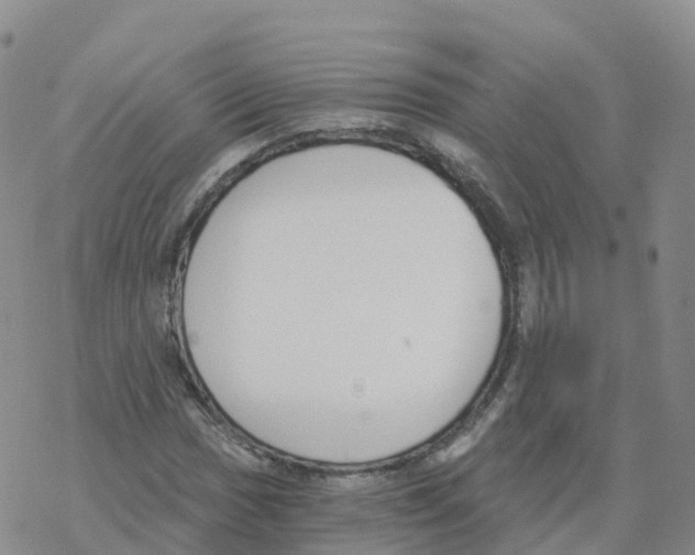 X0000068731017200605262020