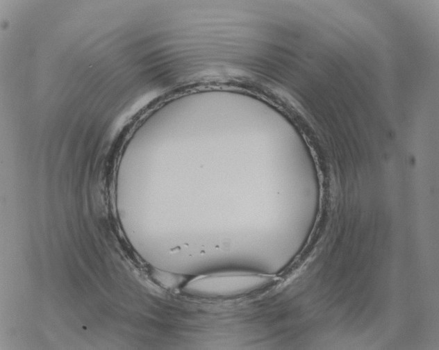 X0000068731018200605262020