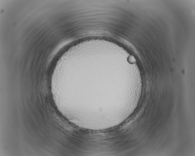 X0000068731019200605262020