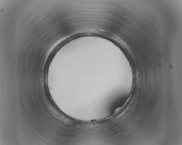 X0000068731020200605262020