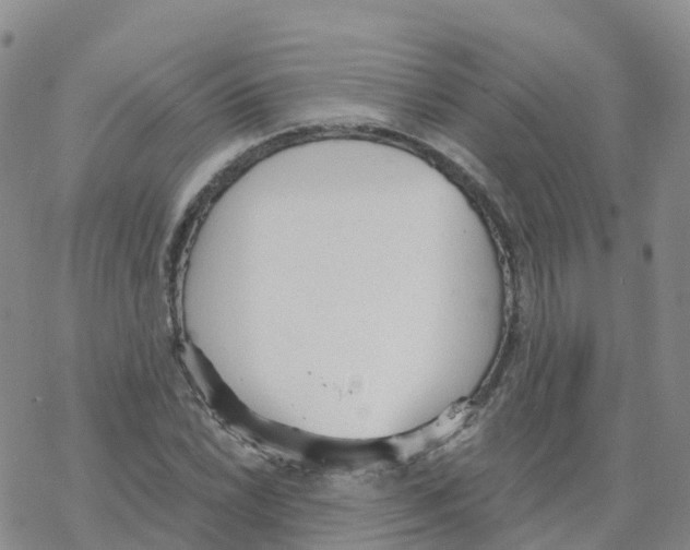 X0000068731022200605262020