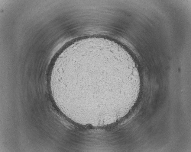 X0000068731023200605262020