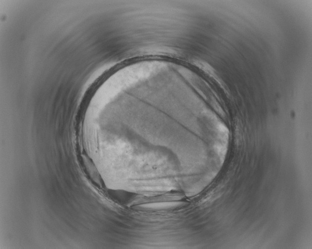 X0000068731024200605262020