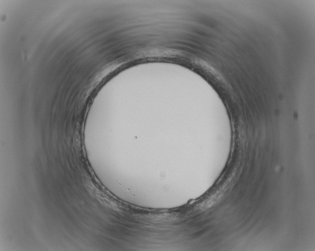 X0000068731025200605262020