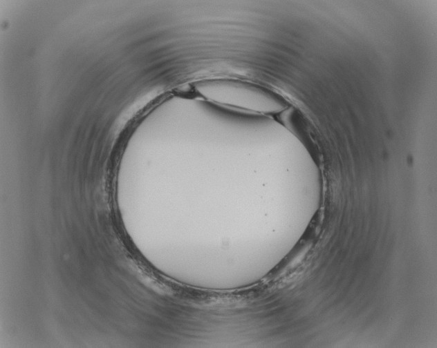 X0000068731026200605262020