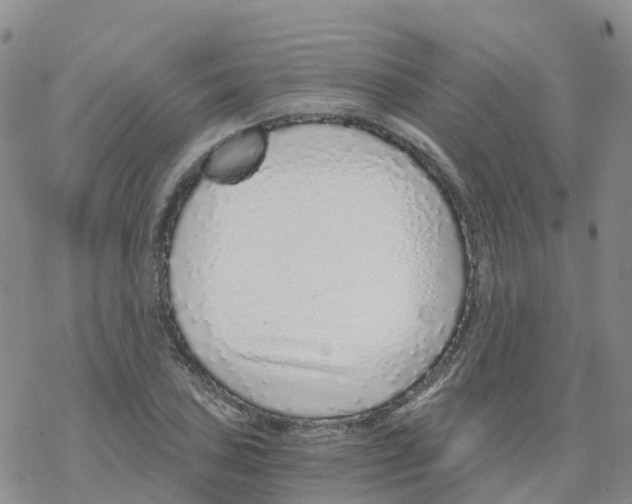 X0000068731027200605262020