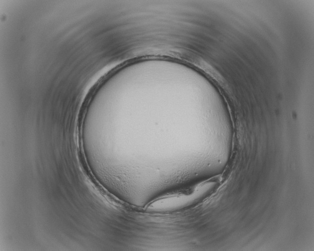 X0000068731028200605262020