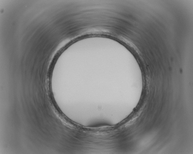 X0000068731029200605262020