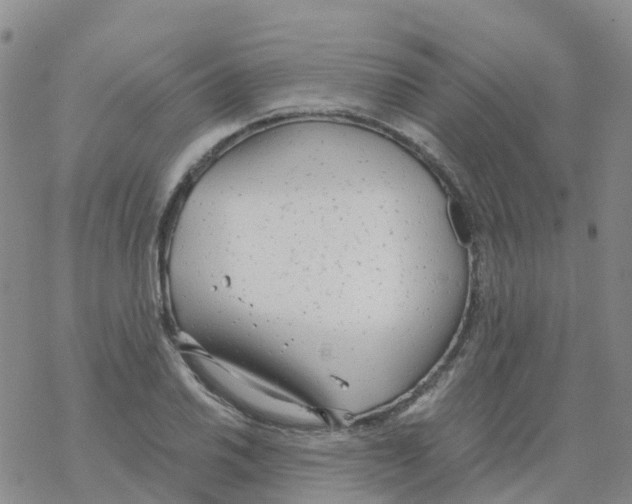 X0000068731030200605262020