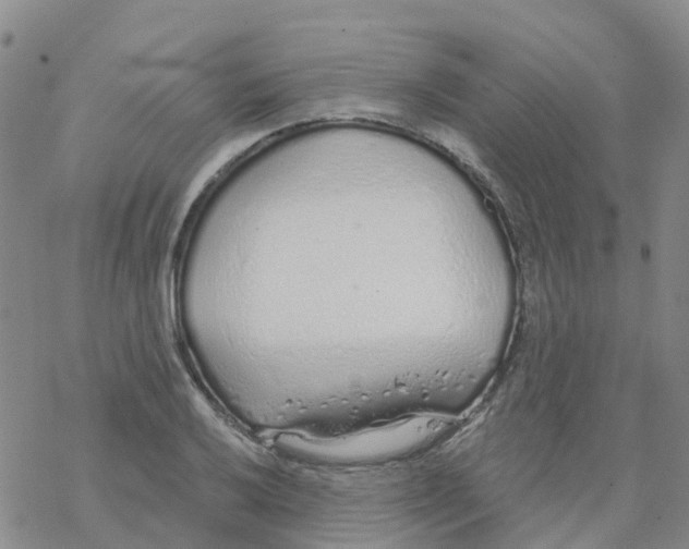 X0000068731032200605262020