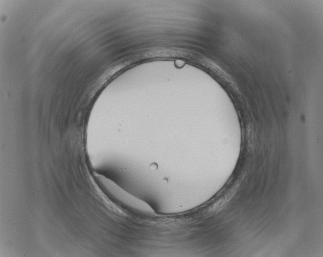 X0000068731033200605262020