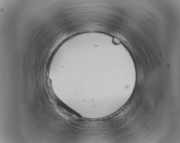 X0000068731039200605262021