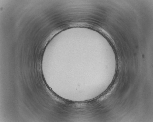 X0000068731041200605262021