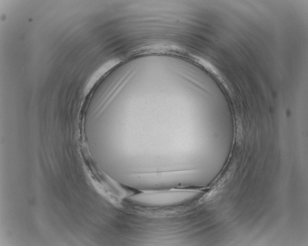 X0000068731042200605262021